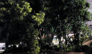 park03.jpg