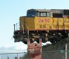 rufus.PNG