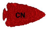 DM&IR CN  LOGO  What IF.JPG