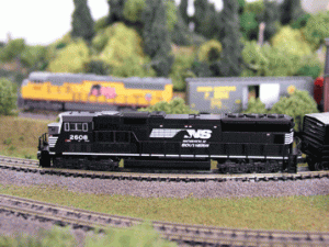 Copy-of-P7041314.gif