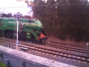ho layout 030.jpg