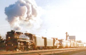 Trainswin neg image.jpg