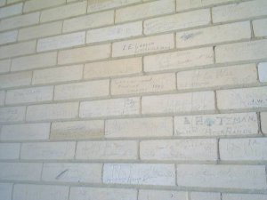 Picture 298.jpg