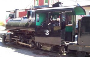 #3 closeup.jpg