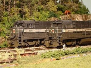LNE U23B_862 005_640g.jpg