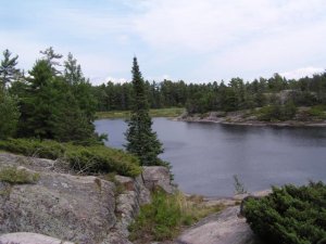 landscape.jpg