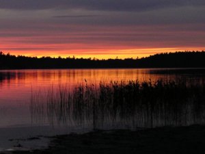 sunset.jpg