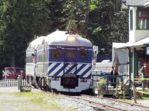 day liner.jpg