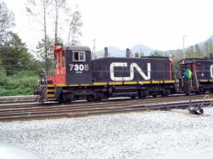 cn 7305.jpg