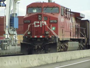 9775.jpg