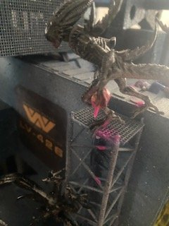 image7.jpeg