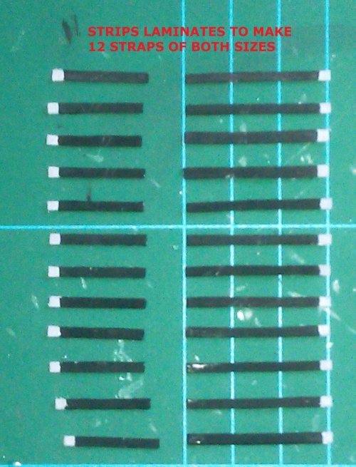 IMAG0348.jpg