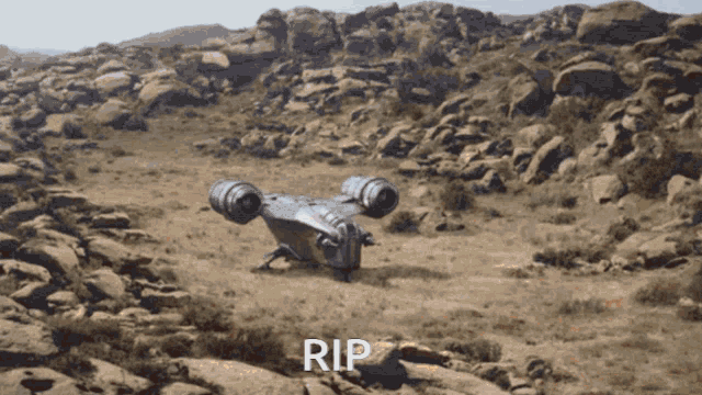 rip-RC.gif