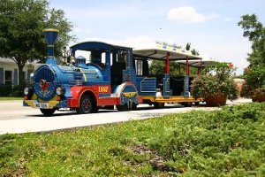 BIG BLUE TRAIN.JPG
