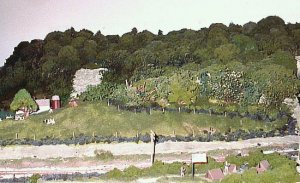 scenary2.jpg