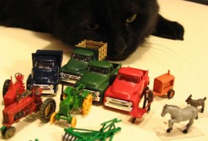 the trucks.jpg