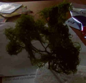 tree one.jpg