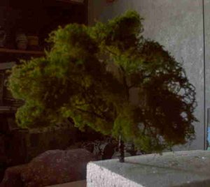 tree two.jpg