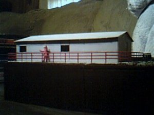 36b.jpg