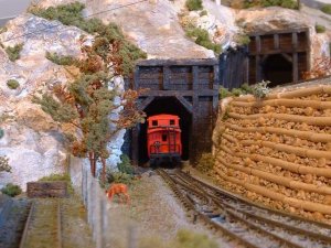 tunnel2.jpg