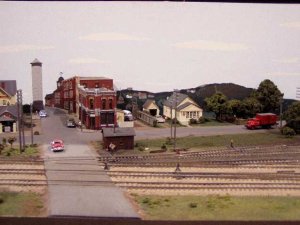 P1010036.jpg
