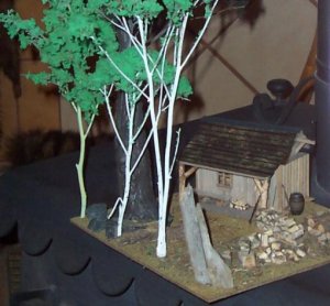 Diorama 003.jpg