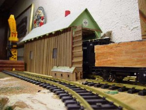 Robin 004.jpg