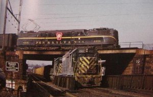 necor2.jpg