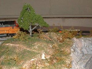 DSCF0146_2.JPG