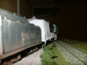crossing2.JPG