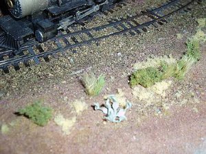 cactus7.jpg