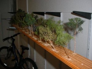 trees2.JPG