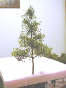 tree2.jpg
