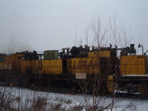 2006_0109assort0012.JPG