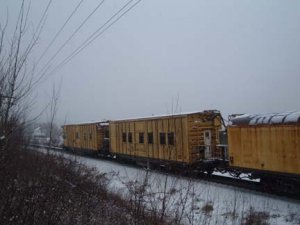 2006_0109assort0020.JPG