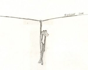Copy of scan0005.jpg