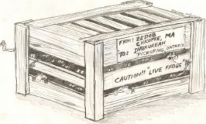 Copy of scan0004.jpg