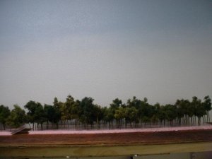 sky 4 trees normal.JPG