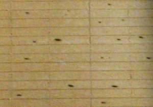 form_surface_texture.jpg