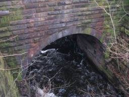 Copy of mill 001.jpg