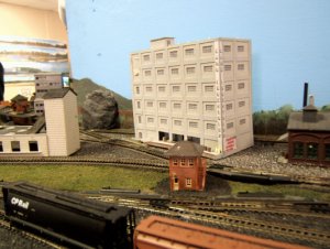 Robin-01.jpg