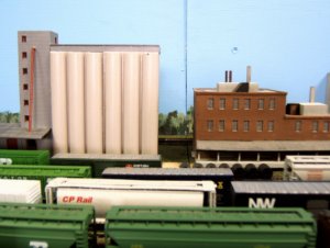Robin-02.jpg