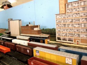 Robin-03.jpg