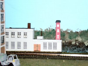 Robin-05.jpg