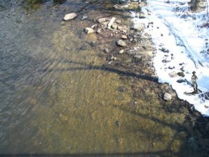 Chicopee-Holyoke_CT_river_water.jpg