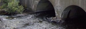 water1.jpg