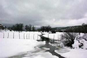 DCP_2772.jpg