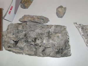 rocks4.jpg