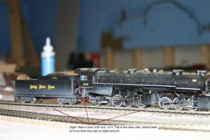 march23 084 (Medium).jpg