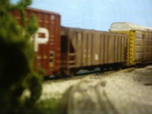 DIGI0046.JPG